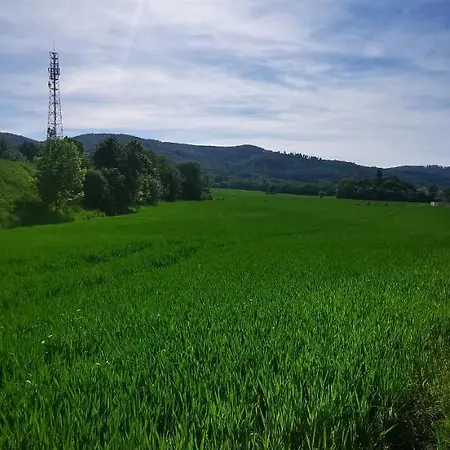 Sloneczny Blisko Jeziora I Gor *