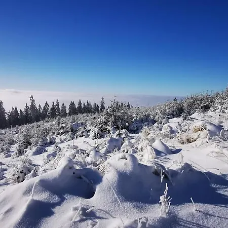 Sloneczny Blisko Jeziora I Gor Appartement *