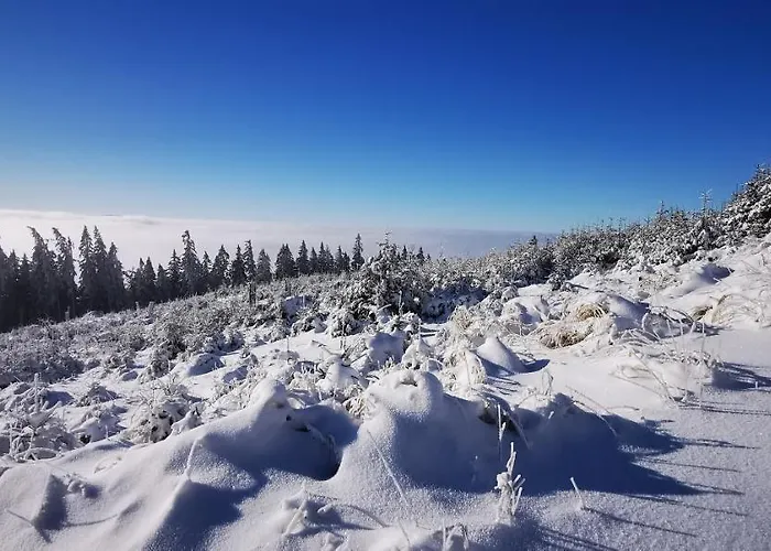Sloneczny Blisko Jeziora I Gor 아파트 *